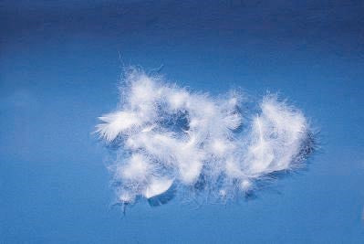 Do you need help understanding what's in a Doona/Duvet?